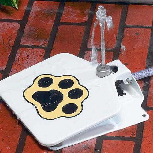 Bebedouro Brinquedo Interativo para Cães de Metal – Água Fresca ao Acionar a Pata | ForPatas
