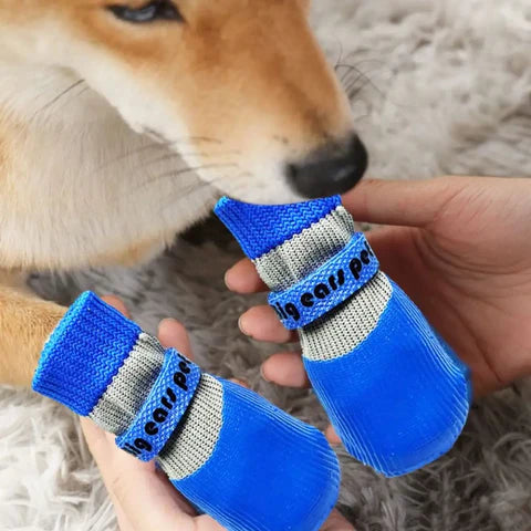 Meias à Prova d’Água para Passeios com Cães