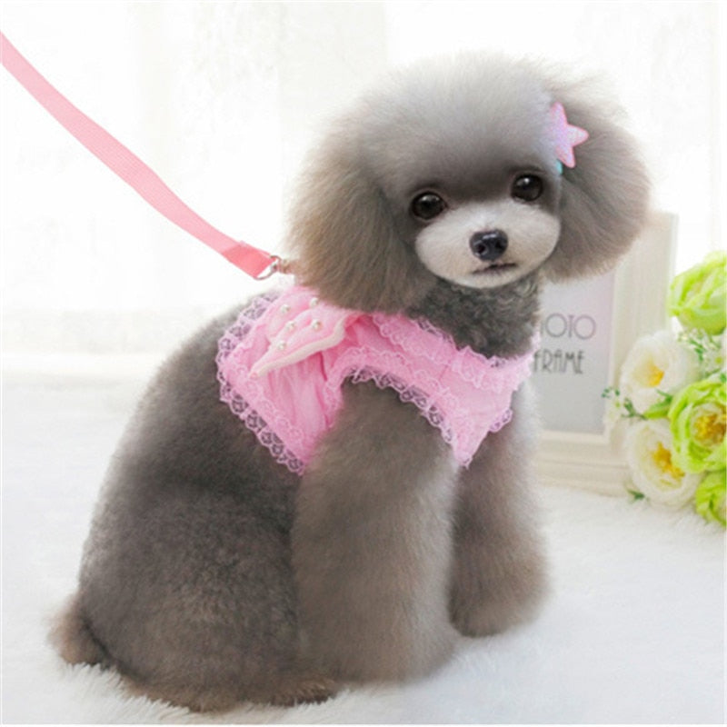 Coleira & Guia Pet Anjinho - Snouty™