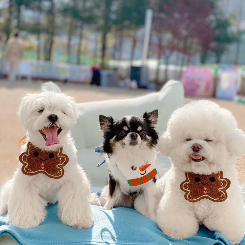 Babador Divertido de Natal - Furrish™