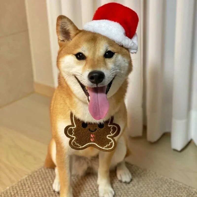 Babador Divertido de Natal - Furrish™