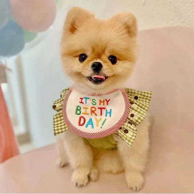 Babador Pet Birthday - Pawzly™