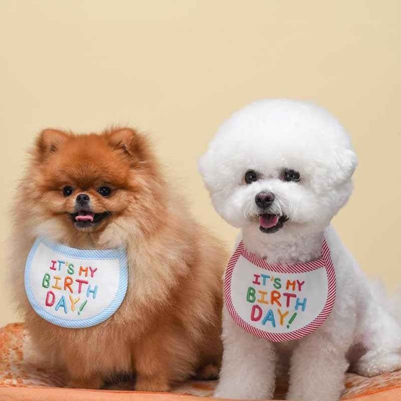 Babador Pet Birthday - Pawzly™