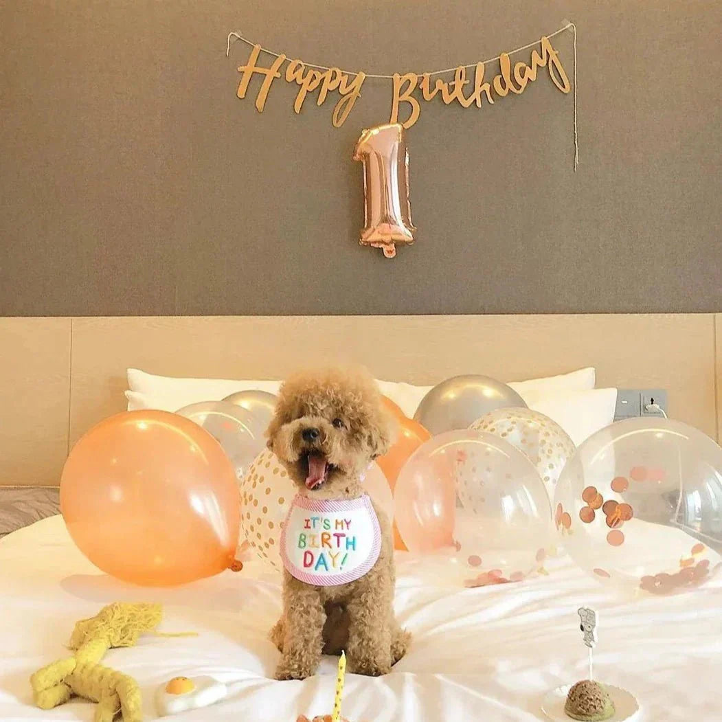 Babador Pet Birthday - Pawzly™