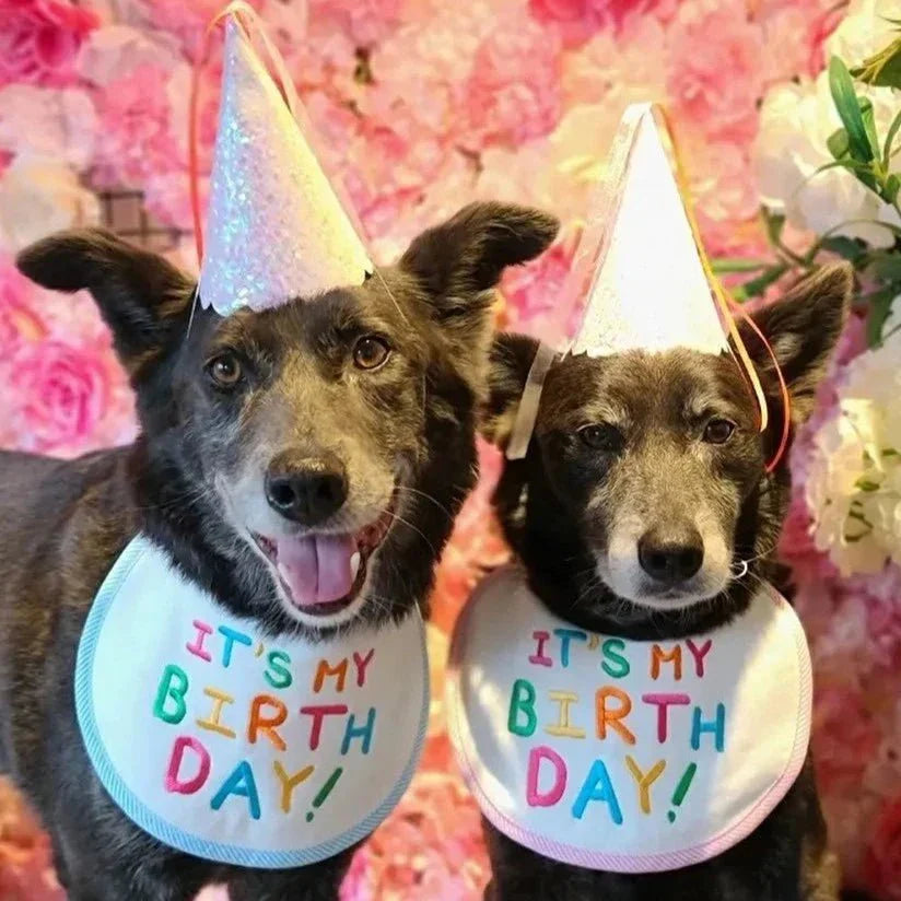 Babador Pet Birthday - Pawzly™