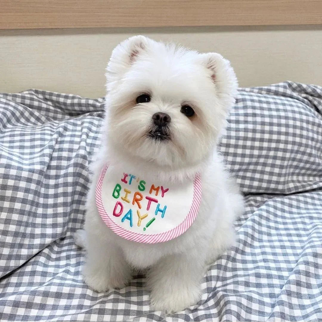 Babador Pet Birthday - Pawzly™