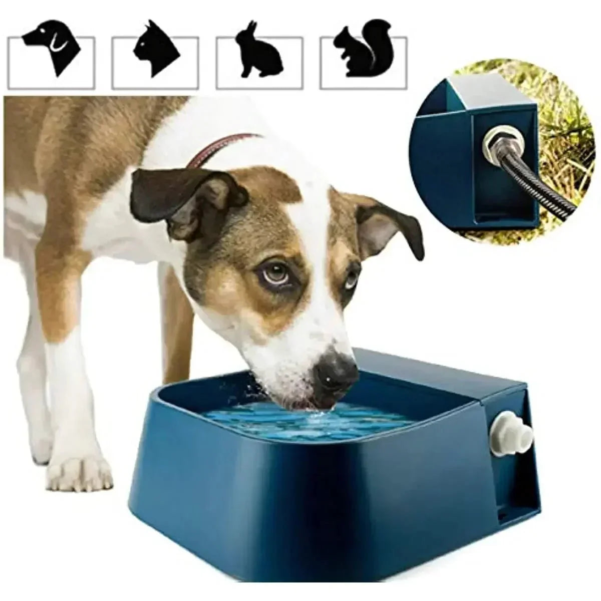 Bebedouro Automático para Pets - Snouty™