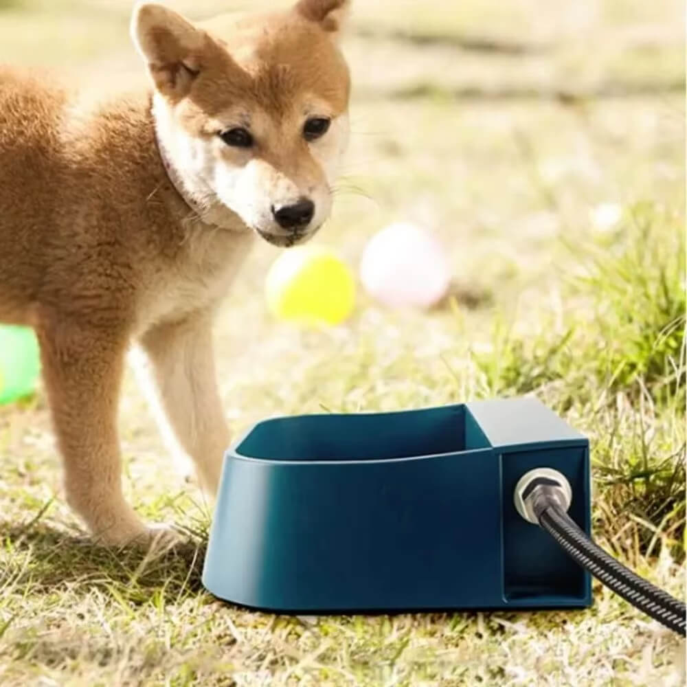 Bebedouro Automático para Pets - Snouty™