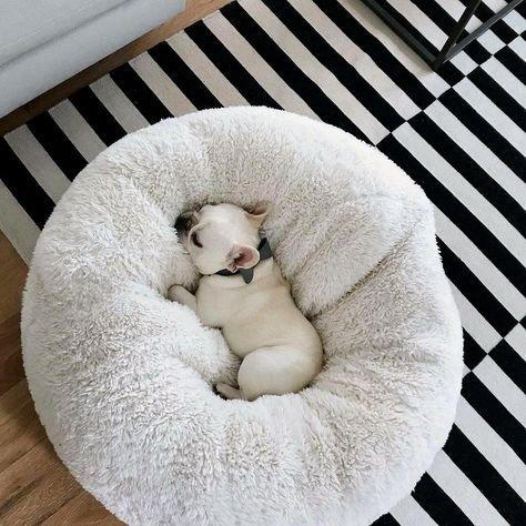 Cama Anti-Ansiedade RelaxPet - Barkify™