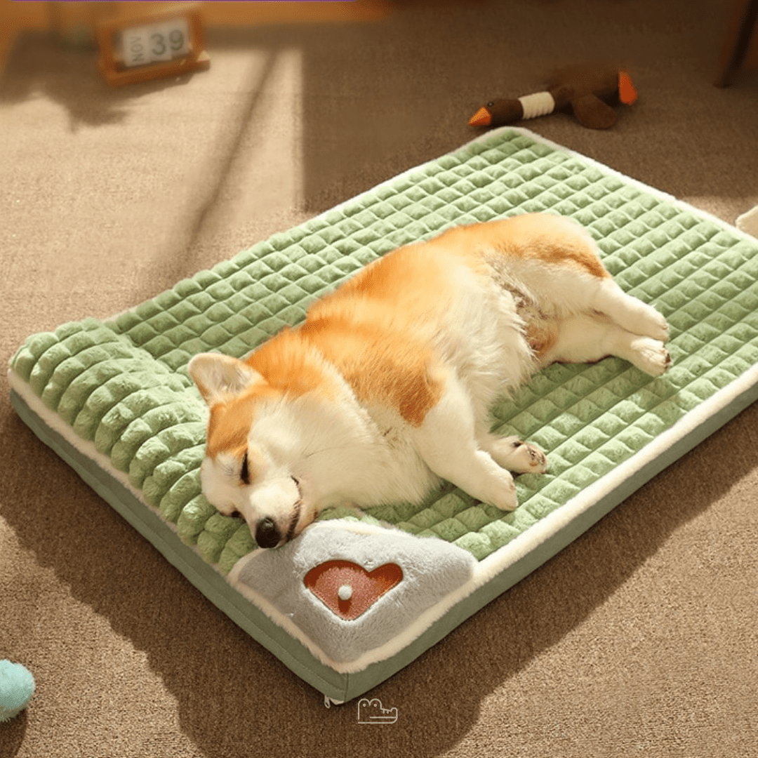 Cama para Cachorro CONFORTO - Lupzy™