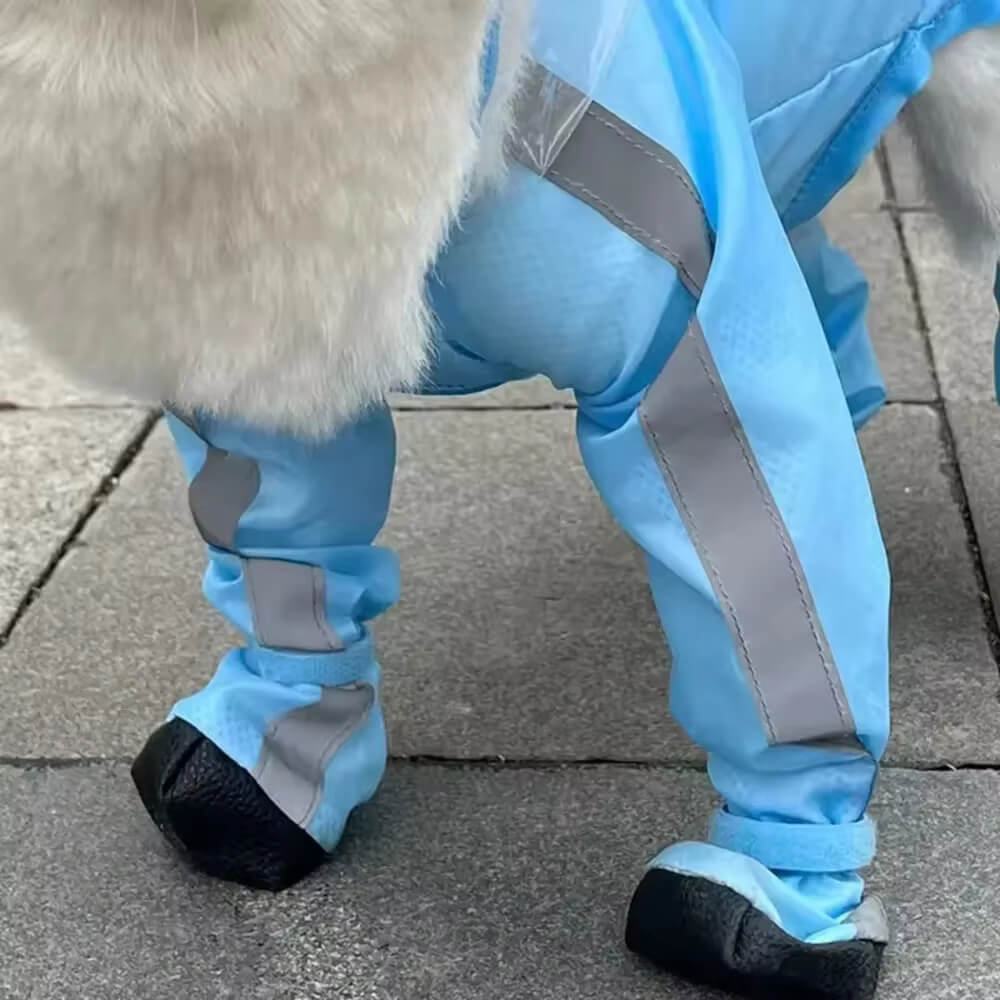 Capa de Chuva Pet - Lupzy™