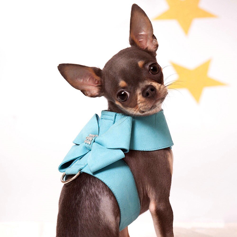 Coleira com Guia - Furrish™