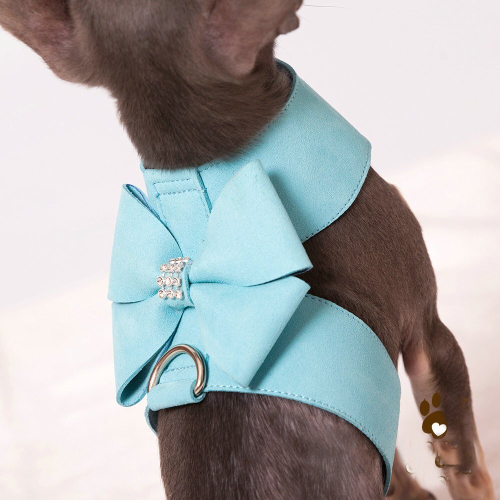 Coleira com Guia - Furrish™