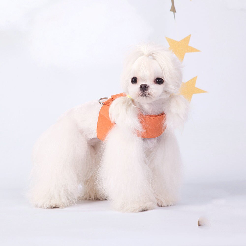 Coleira com Guia - Furrish™