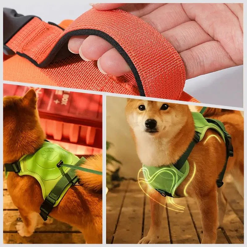 Coleira Retrátil com Guia para Cães de Médio e Grande Porte - Petzo™