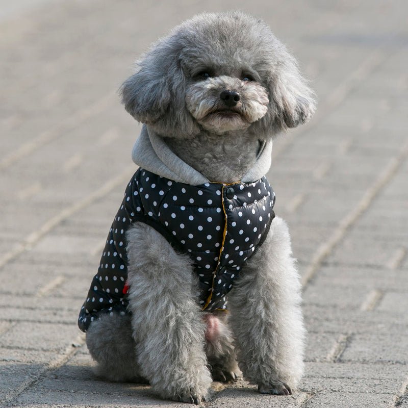 Colete com Capuz - Furrish™