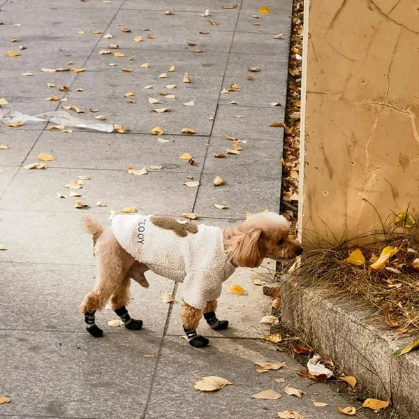 Meias à Prova d’Água para Passeios com Cães