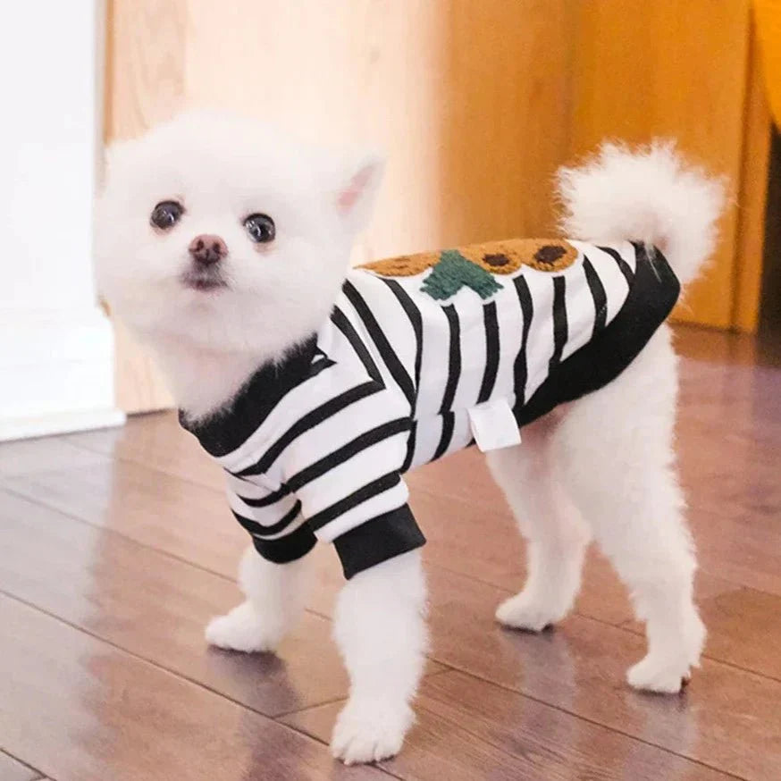 Moletom Apolo - Duty™