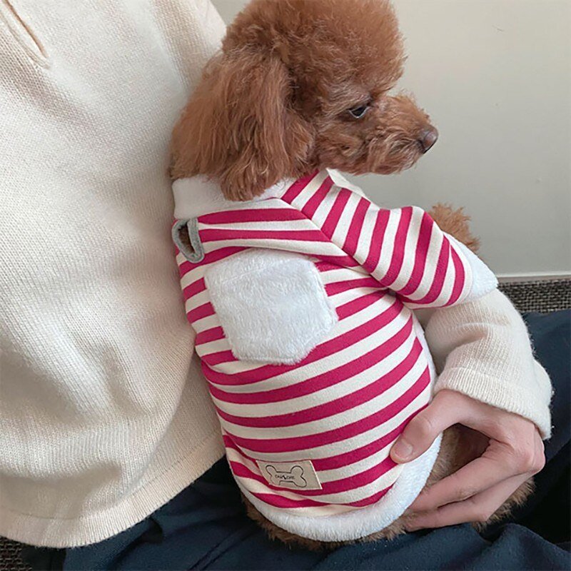 Moletom com Cachecol Papai Noel - Petzo™