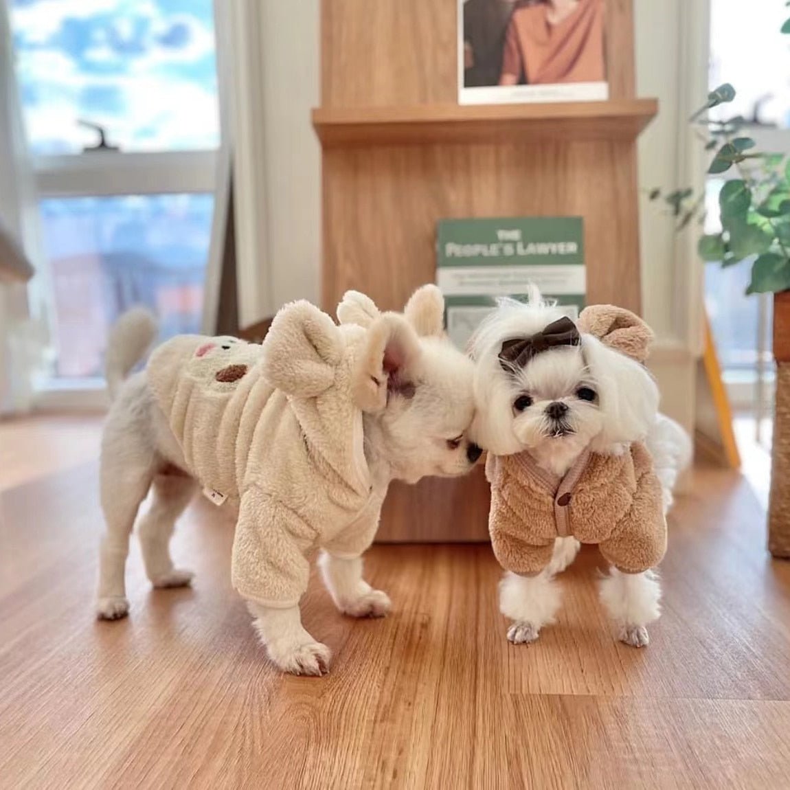 Moletom Fofo Bear - Snouty™