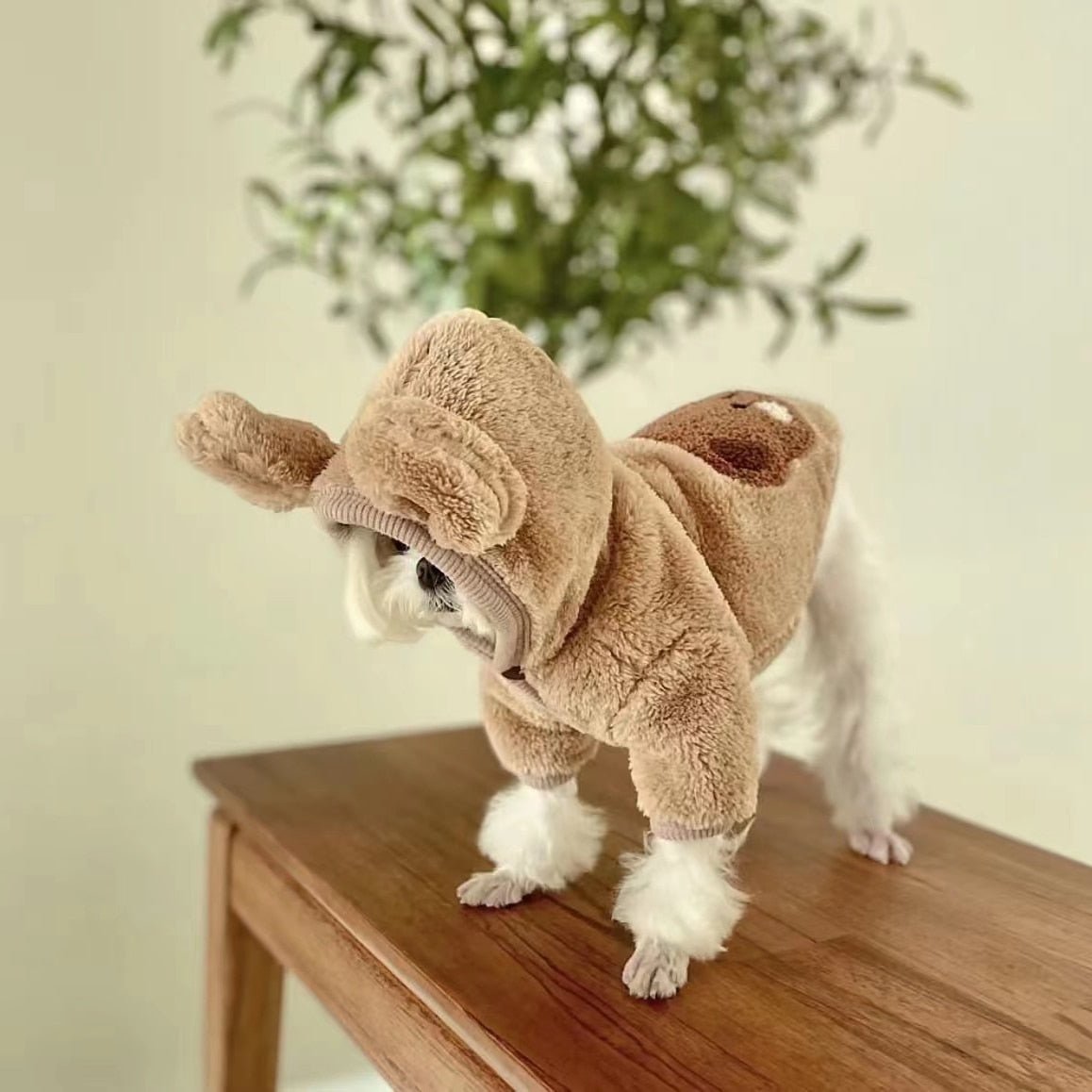 Moletom Fofo Bear - Snouty™