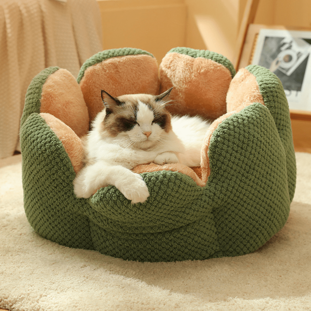 Puff Pet Florzinha - Kinect™