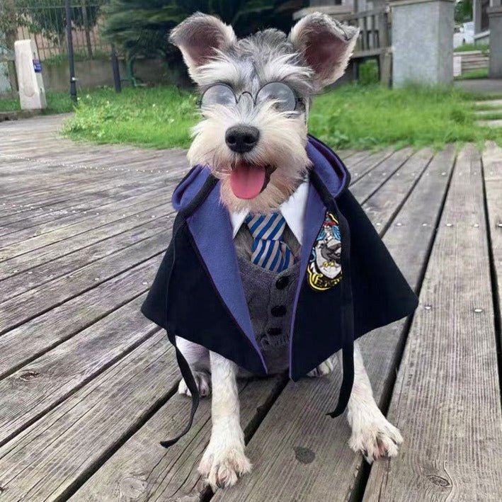Roupa Fantasia para Pet do Harry Potter - Duty™