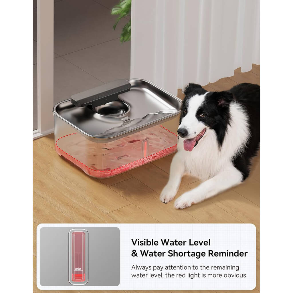 Bebedouro Inox Newpet 12L para Cães e Gatos – Grande Capacidade e Filtro Extra | ForPatas