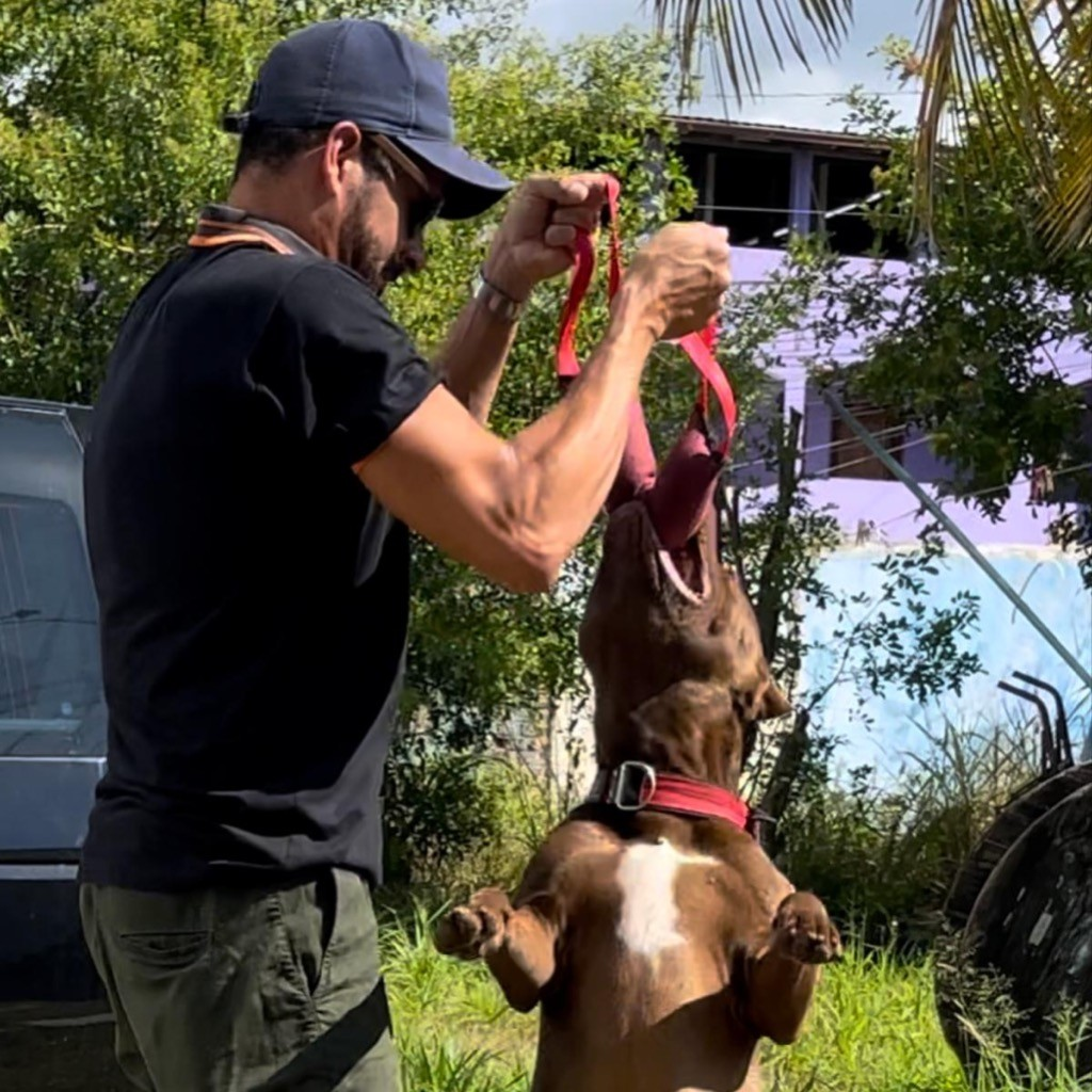 Mordedor Pillow Super Forte para Cães de Grande Porte – Dogvix™ | Treinamento e Diversão