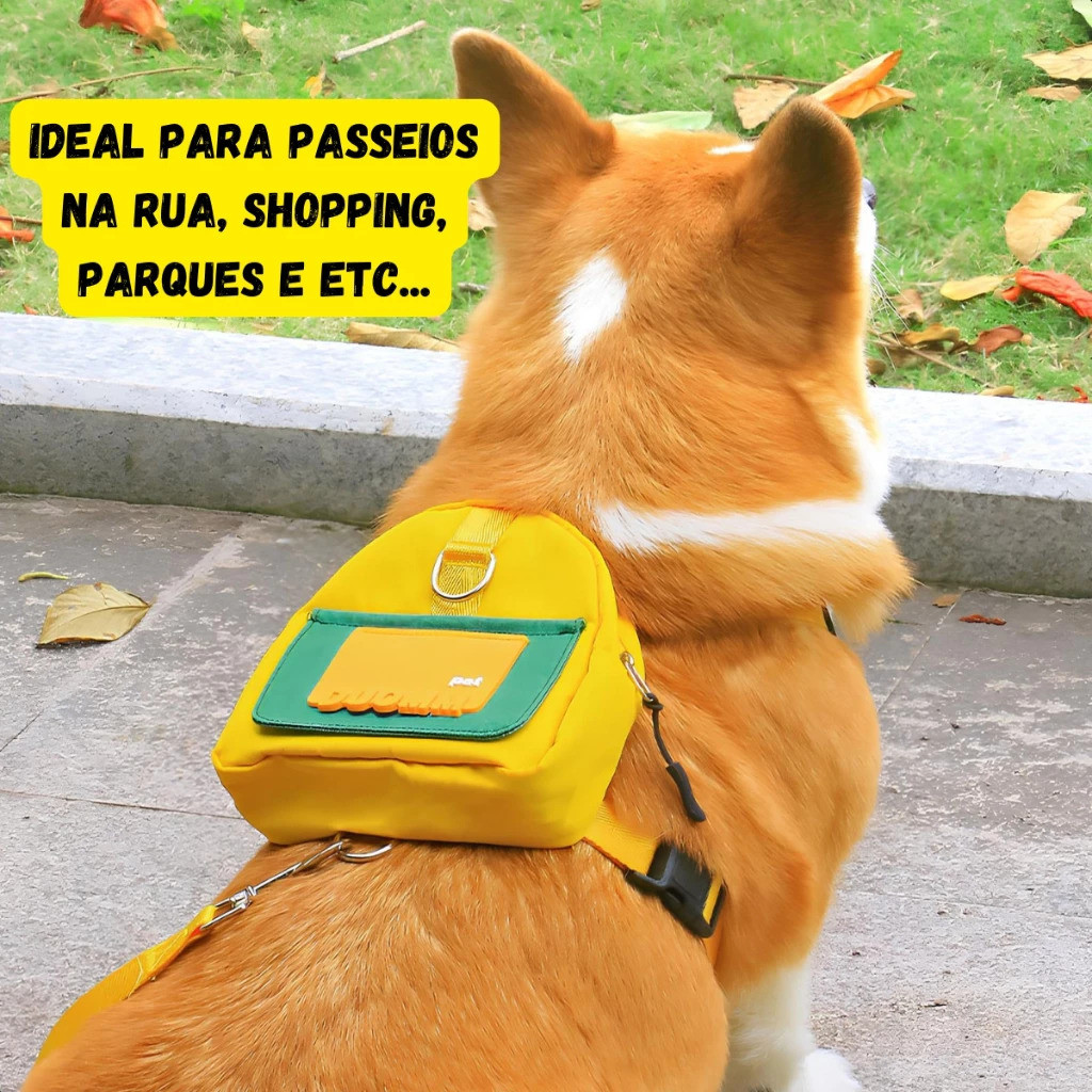 Mochila Pet Impermeável com Guia – PETC™ | Para Cães de Pequeno e Médio Porte