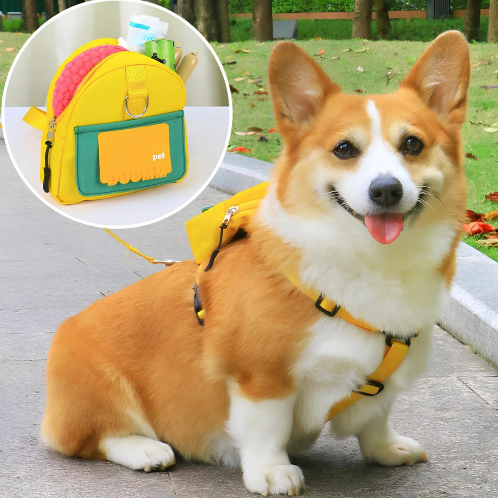 Mochila Pet Impermeável com Guia – PETC™ | Para Cães de Pequeno e Médio Porte