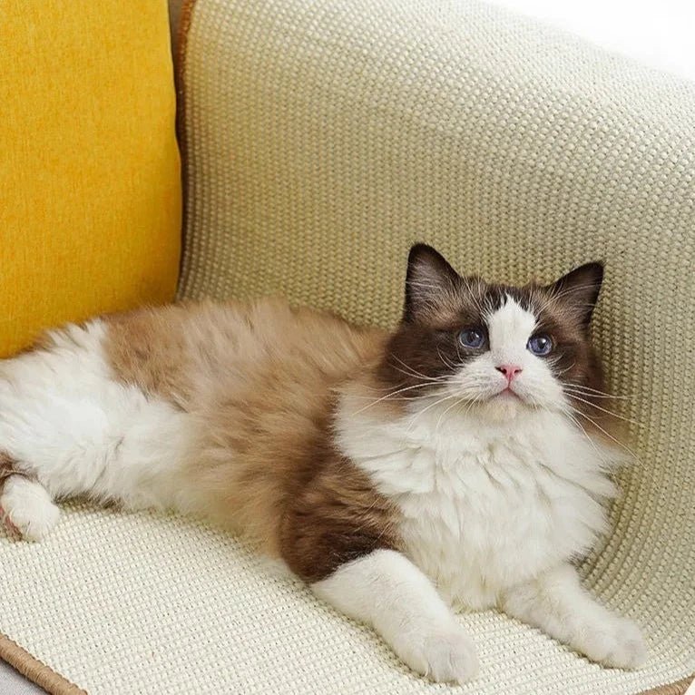 Tapete Arranhador - Furrish™