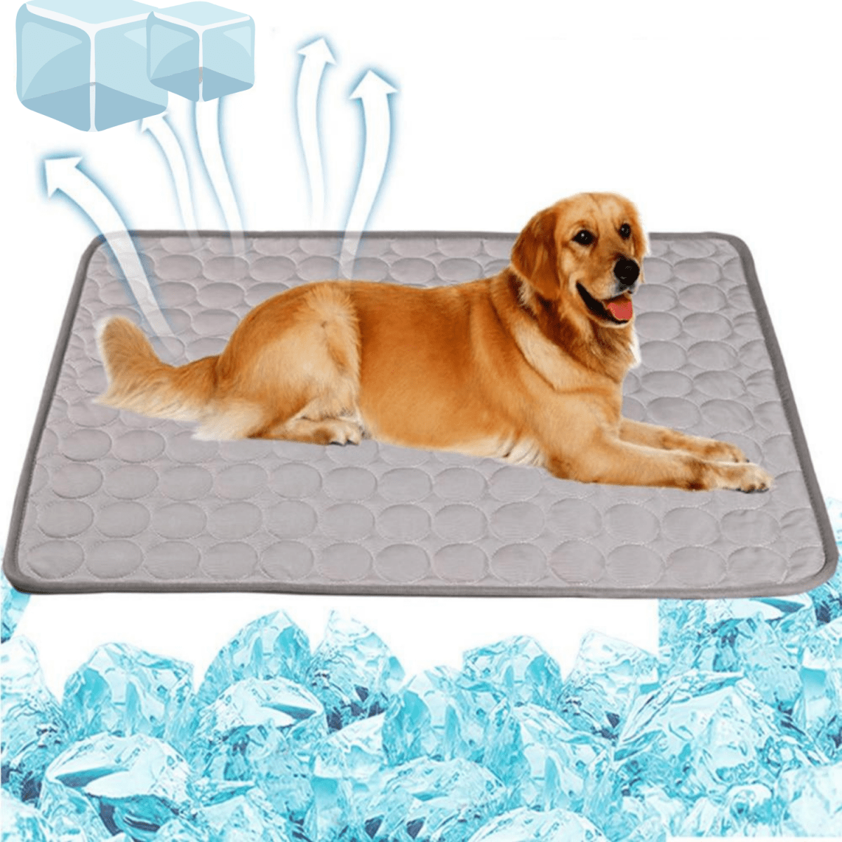 Tapete Gelado - Lupzy™