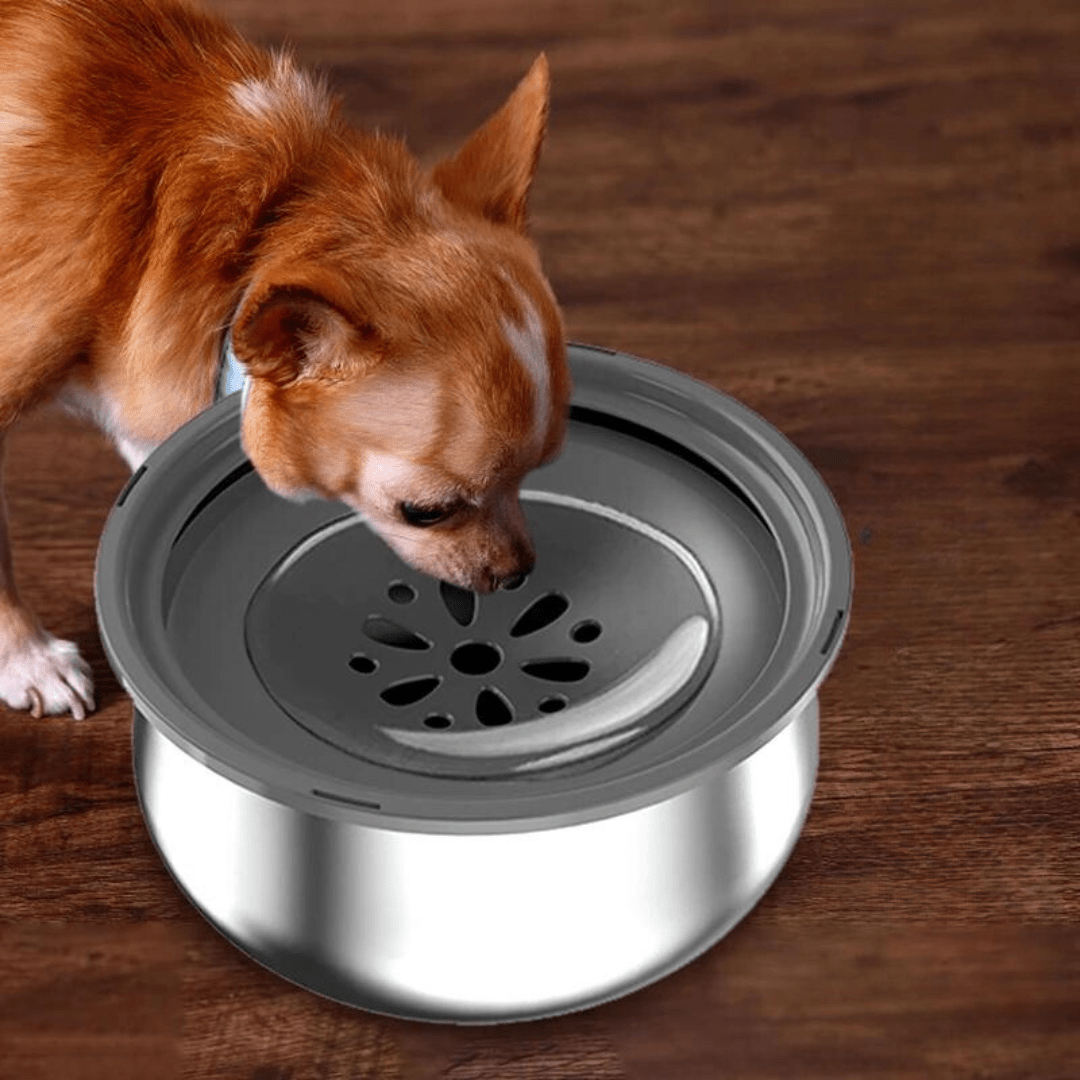 Tigela Anti-respingo Inox 4L - Lupzy™