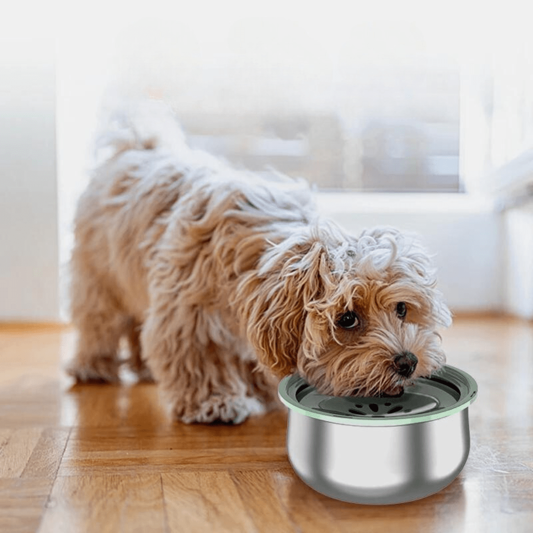 Tigela Anti-respingo Inox 4L - Lupzy™