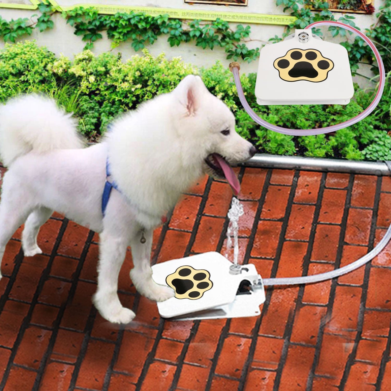 Bebedouro Brinquedo Interativo para Cães de Metal – Água Fresca ao Acionar a Pata | ForPatas