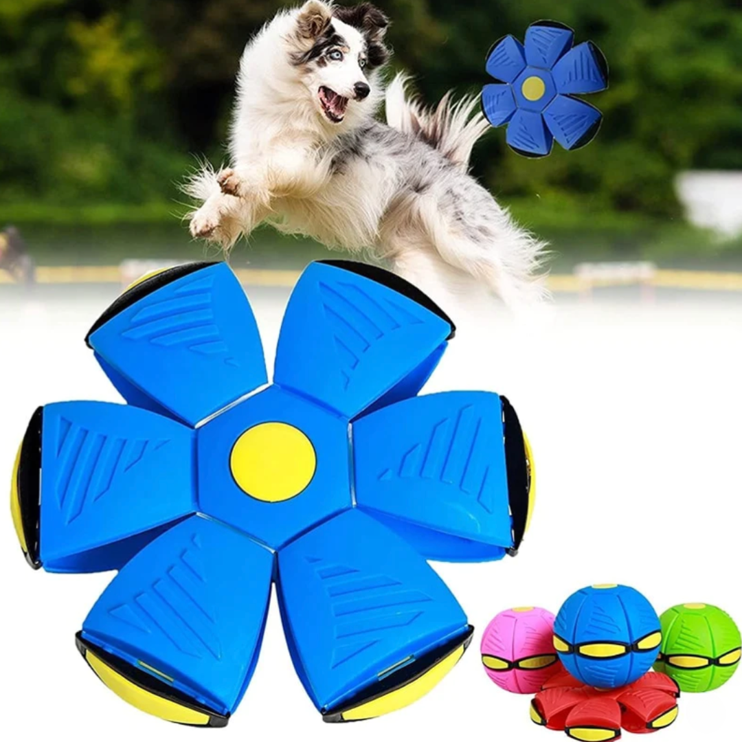 Bola Mágica Interativa com Luzes para Pets – Diversão Sem Fim | ForPatas