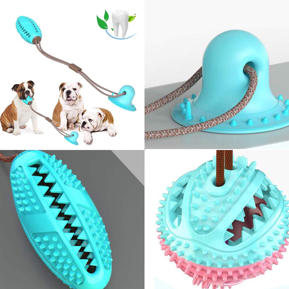 Brinquedo Mordedor com Ventosa para Cães – Limpeza Dental e Diversão | ForPatas