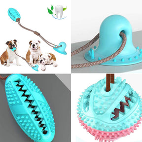 Brinquedo Mordedor com Ventosa para Cães – Limpeza Dental e Diversão | ForPatas