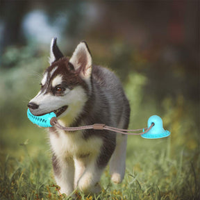 Brinquedo Mordedor com Ventosa para Cães – Limpeza Dental e Diversão | ForPatas