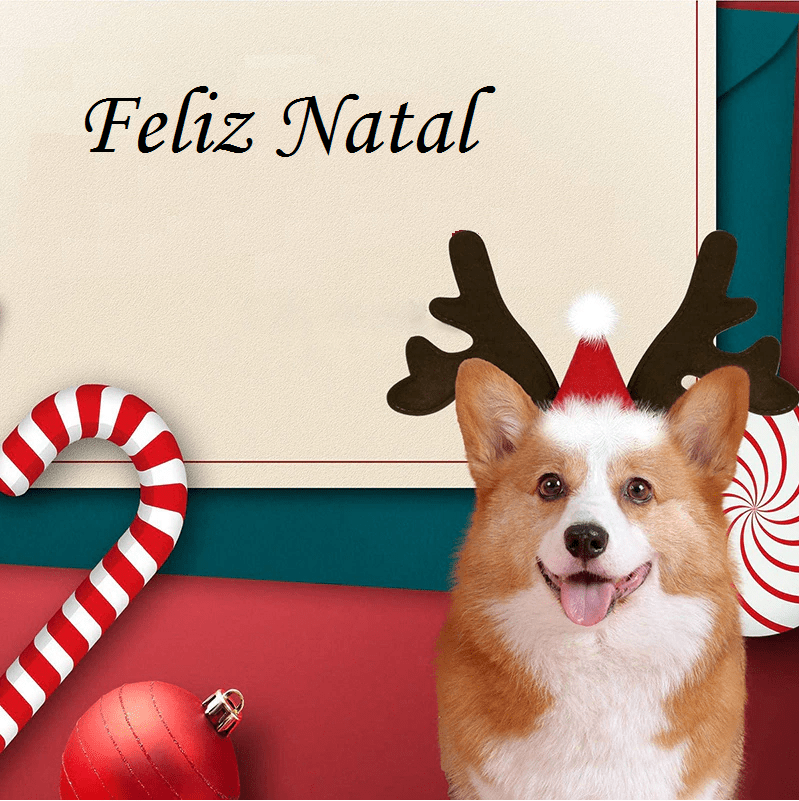 Acessório Rena Natalina - Snouty™