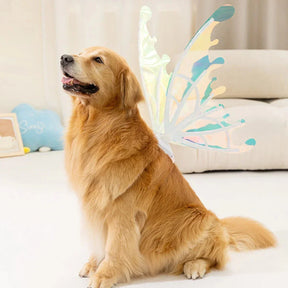 Asas de Borboleta Pet Brilhante - Kinect™