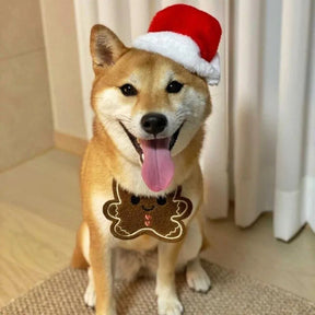Babador Divertido de Natal - Furrish™