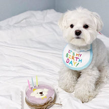 Babador Pet Birthday - Pawzly™