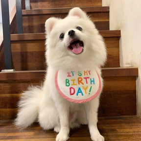 Babador Pet Birthday - Pawzly™