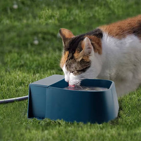 Bebedouro Automático para Pets - Snouty™