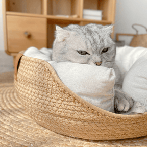 Cama de Bambu Natural para Pet com Travesseiros - Woofline™