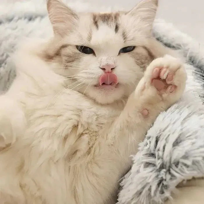 Cama Toca de Pelúcia para Gatos - PETZO™