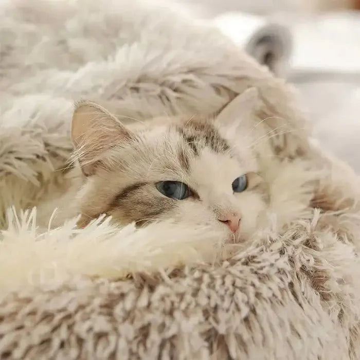 Cama Toca de Pelúcia para Gatos - PETZO™