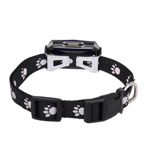 Coleira Com Gps Para Pets Precisão e Rapidez - Snouty™